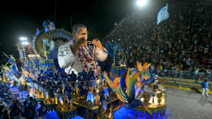 Beija-Flor é campeã do Carnaval do Rio com homenagem a diretor