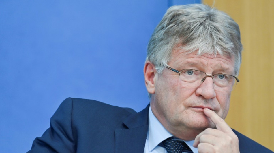  Parteichef Meuthen verlässt die AfD im Streit 