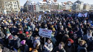 Nach Massenprotesten: Für Sonntag neue Demos gegen Rechtsextremismus geplant