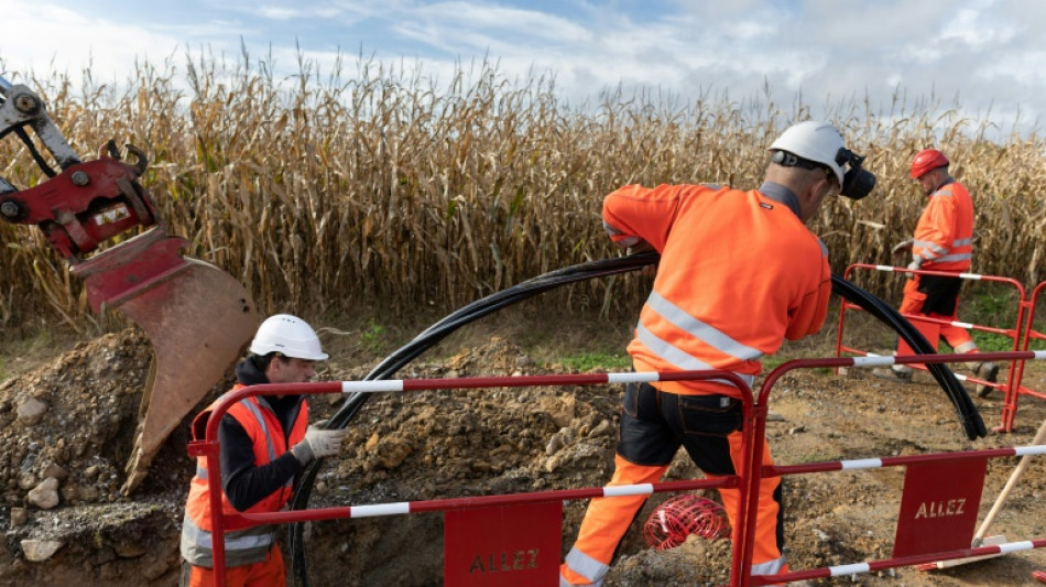 Un an après la tempête Ciaran, Enedis adapte le réseau électrique breton aux aléas climatiques