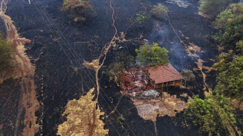 Fires in Brazil's Sao Paulo state under control: authorities 