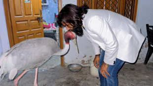 Free bird: Indian man asks zoo for feathered friend's release