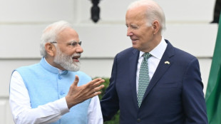 Biden et Modi vantent la "nouvelle énergie" de leur partenariat