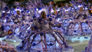 "C'est le grand jour" pour le carnaval de Rio, fête féérique et politique