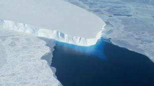 Faster West Antarctic Ice Sheet melting unavoidable: study 