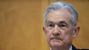 US Fed holds key rate steady, signals three cuts likely in 2024