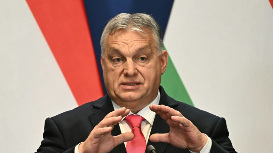 Orban: Ungarns Regierung "unterstützt Nato-Mitgliedschaft Schwedens"