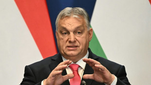 Orban: Ungarns Regierung "unterstützt Nato-Mitgliedschaft Schwedens"