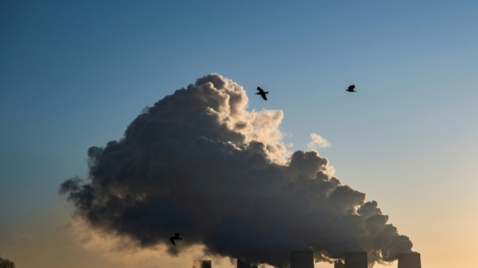 Internationale Finanzierungskonferenz in Bonn für Grünen Klimafonds