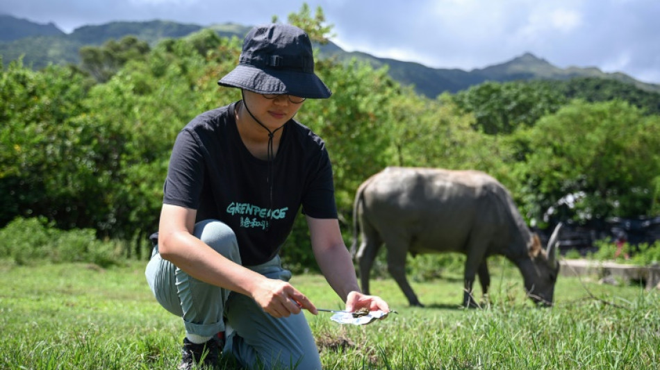 Greenpeace sounds alarm on microplastics ingested by Hong Kong wildlife