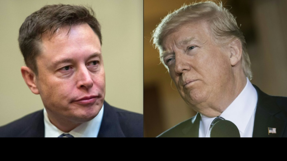 Musk will nach Übernahme von Twitter Verbannung Trumps aufheben