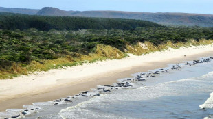 Almost 200 pilot whales perish on Australian beach