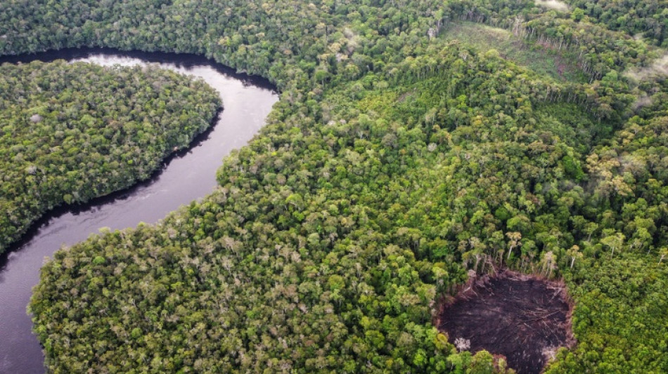 El responsable del organismo de control de objetivos climáticos empresariales dimite tras una polémica