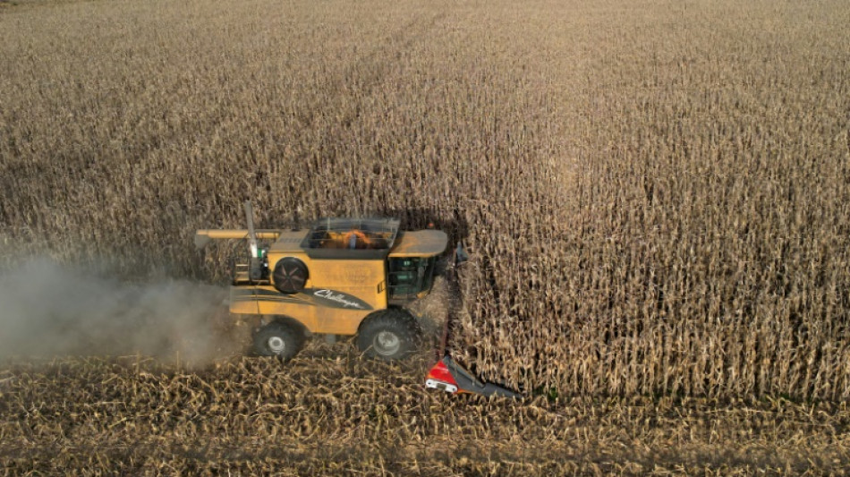 Argentina has surplus harvest, but farmers want more from Milei