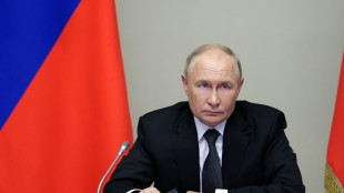 Putin, 'dolore e ansia per quanto avviene in Palestina'