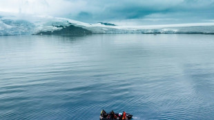 Première au monde à nager 2,5 km dans l'Antarctique, elle a senti son "coeur comme gelé"