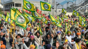 Inde: pourquoi les agriculteurs ont-ils relancé leur mouvement de protestation?