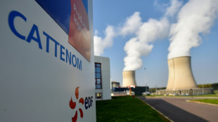 A EDF, une course cruciale dans les réacteurs pour résoudre le problème de corrosion