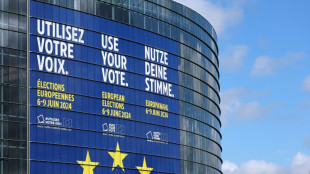 Wahl-o-Mat zur Europawahl mit 38 Thesen gestartet