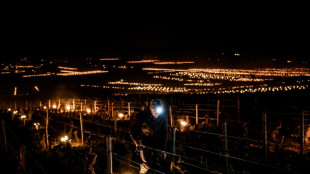 French fruit, vineyards endure coldest April day in 75 years