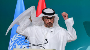 Sultan Al Jaber, le patron pétrolier qui applaudit le "début de la fin" du pétrole