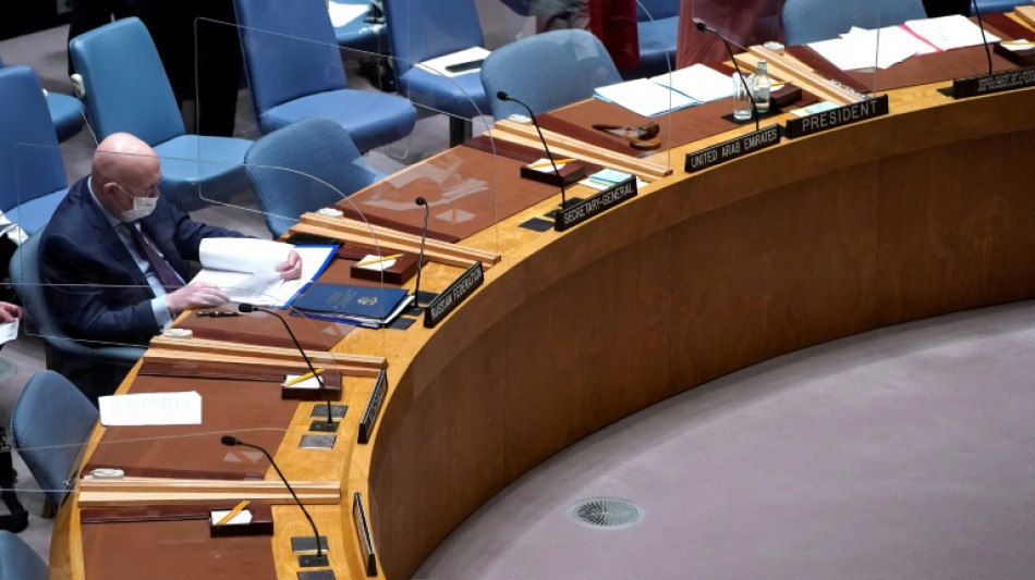 Indignación occidental en el Consejo de Seguridad de ONU por la "instrumentalización" rusa