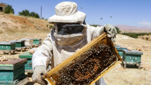 Syrian beekeepers battle both war and climate change