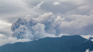 Eruption volcanique en Indonésie: des cendres à 3 km de haut, randonneurs recherchés