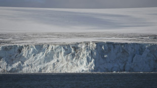 Runaway W. Antarctic ice sheet collapse not 'inevitable': study