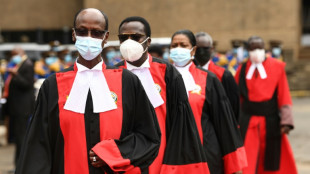 Kenya's top court to rule on contested constitutional reforms