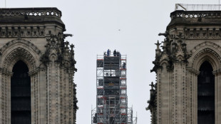 La catedral Notre-Dame de París tendrá un novedoso sistema contra incendios