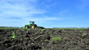 Polish farmers warn of EU threat from Ukraine grain