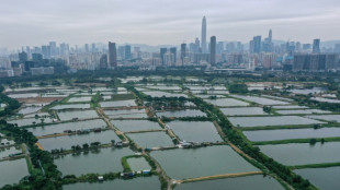 Hong Kong mega development plan to devour villages, wetlands