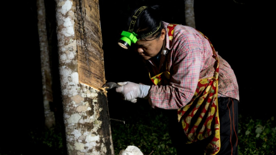 Thaïlande: la longue route vers un latex naturel vert