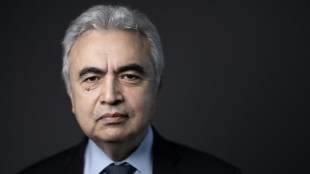 Trade barriers can slow energy transition: IEA chief