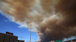 Forti venti e incendi devastano la Grecia, i pompieri in azione