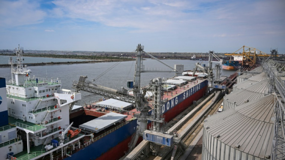 El puerto rumano de Constanta, cuello de botella para el grano de Ucrania