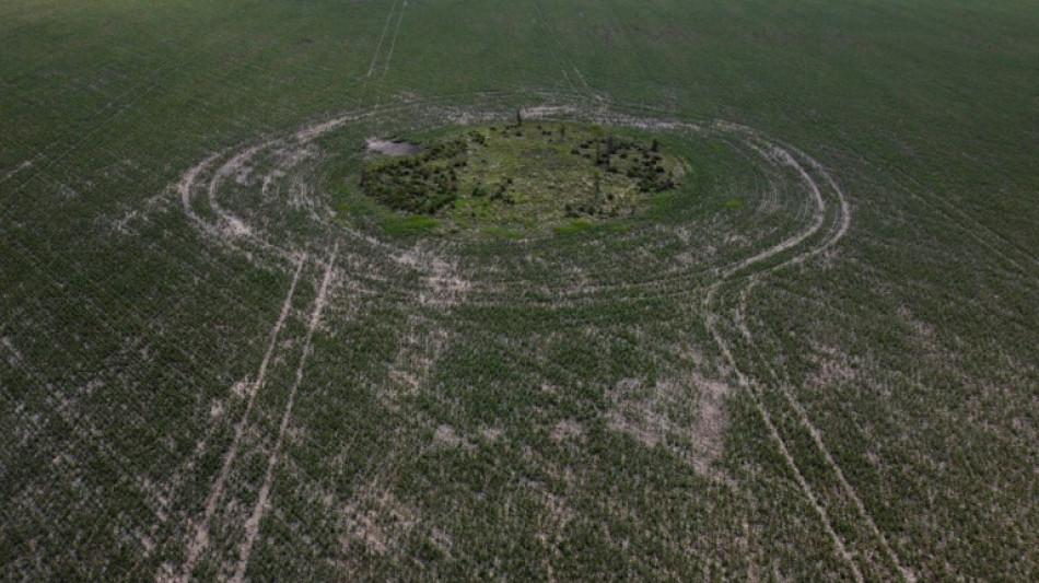 Argentine: dans la pampa asséchée, d'amères moissons d'avril