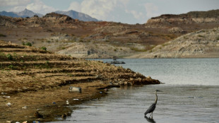 EEUU recorta cuotas de agua del Río Colorado a algunos estados y a México