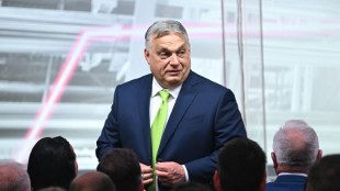 Ungarns Regierungschef Orban bezeichnet Europawahlen als "historisch"