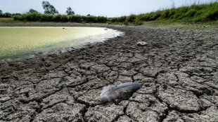 Sécheresse : 90 départements placés en état d'alerte