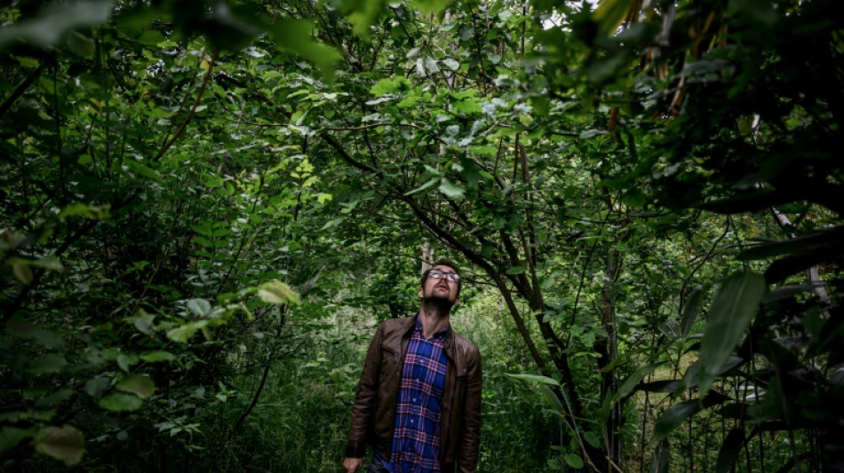 Un bosque comestible en el este de Francia para salvar el planeta