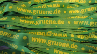 Grüne in Brandenburg bestätigen Pichl und Große Holtrup als Parteivorsitzende