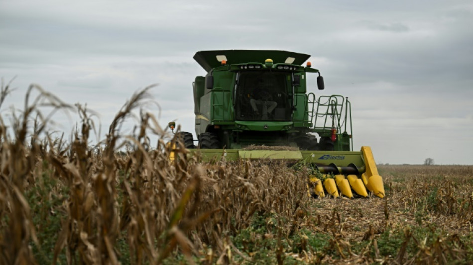 Argentina enfrenta pérdidas millonarias en el campo por su peor sequía