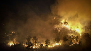 Thaïlande: les pompiers luttent contre un important feu de forêt