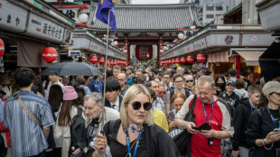 Japón registra un récord de turistas en el primer semestre de 2024