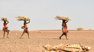 Au Kenya, la famine menace mais les yeux sont rivés sur la présidentielle