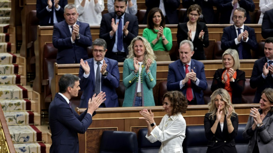 L'Espagne, l'Irlande et la Norvège reconnaissent l'Etat de Palestine 