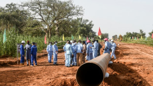 Dans le sud du Niger, le plus grand oléoduc d'Afrique prend corps