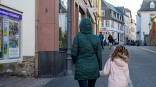 Linke fordert für Alleinerziehende Haushaltshilfe auf Staatskosten 